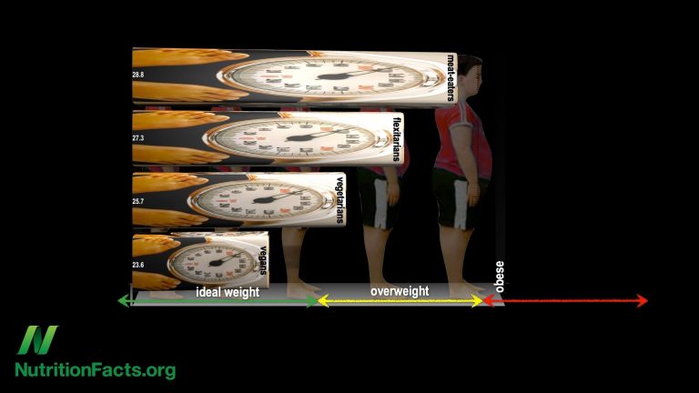 NF-Thousands of Vegans Studied
