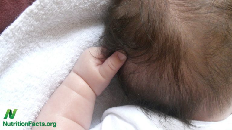 Industrial Pollutants in Vegans