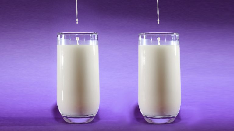 Why Do Vegan Women Have 5x Fewer Twins?