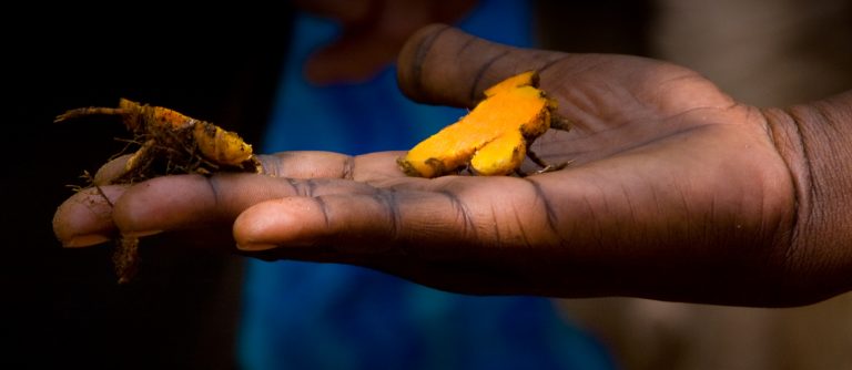 Preventing Alzheimer's with Turmeric