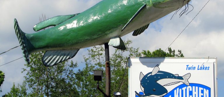 Dioxins in U.S. Farm-Raised Catfish